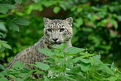 《炉石传说》全新卡牌类型“地标”牌介绍 8月3日上线
